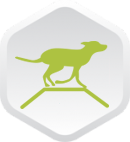 Parques para Mascotas