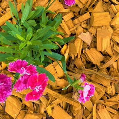 Mulch - Gránulos de Madera  PLAY-MU-001